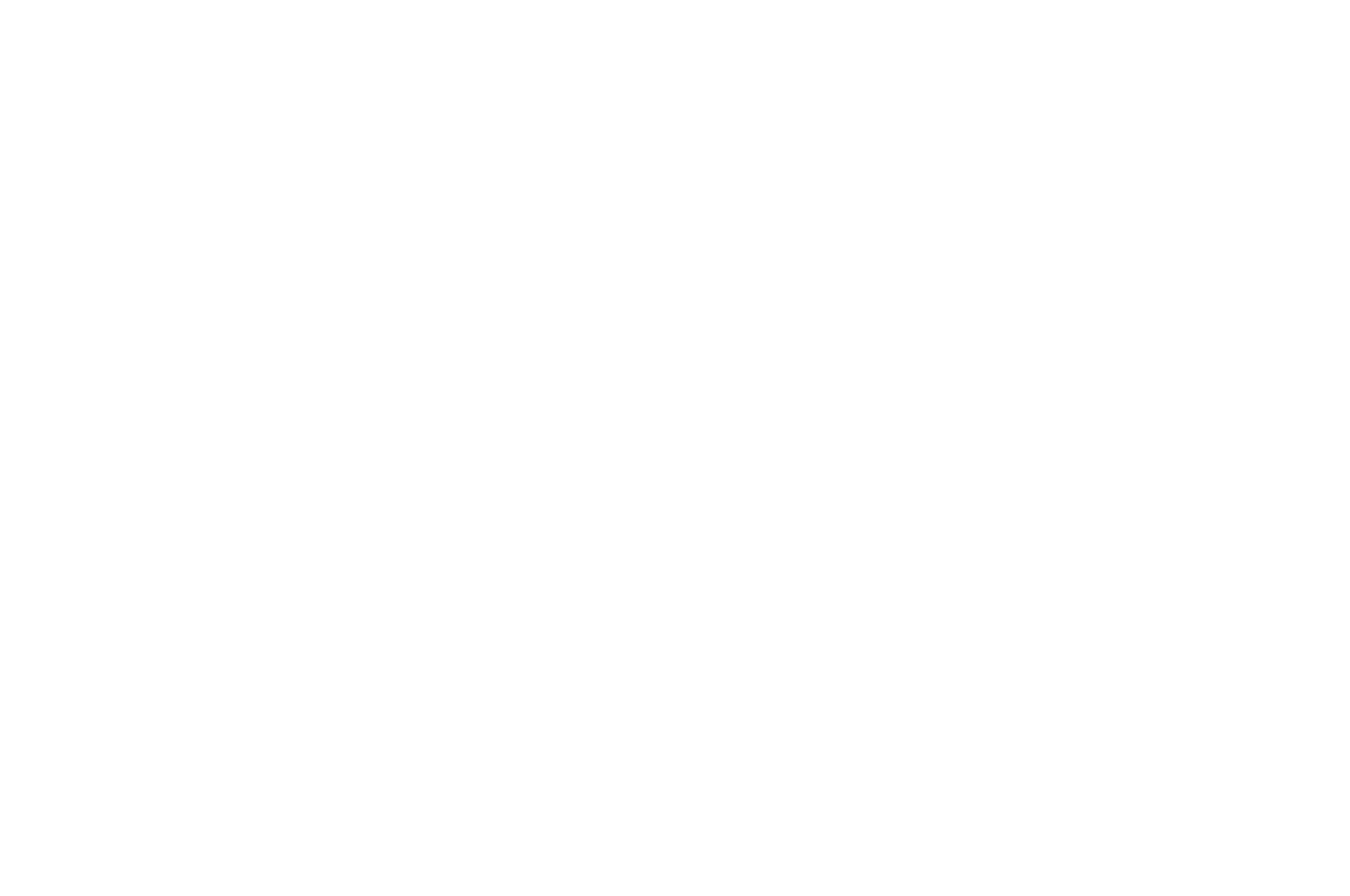 SEMI-FINALIST - C L I M A X - Best Achievement In Documentary Direction  2024