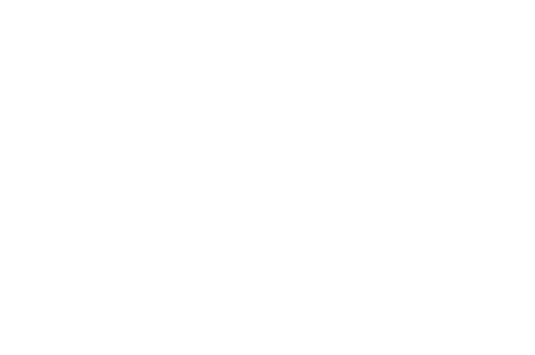OFFICIAL SELECTION - ART IN MOTION Film Festival - Best Short Documentary Cinematography 2024
