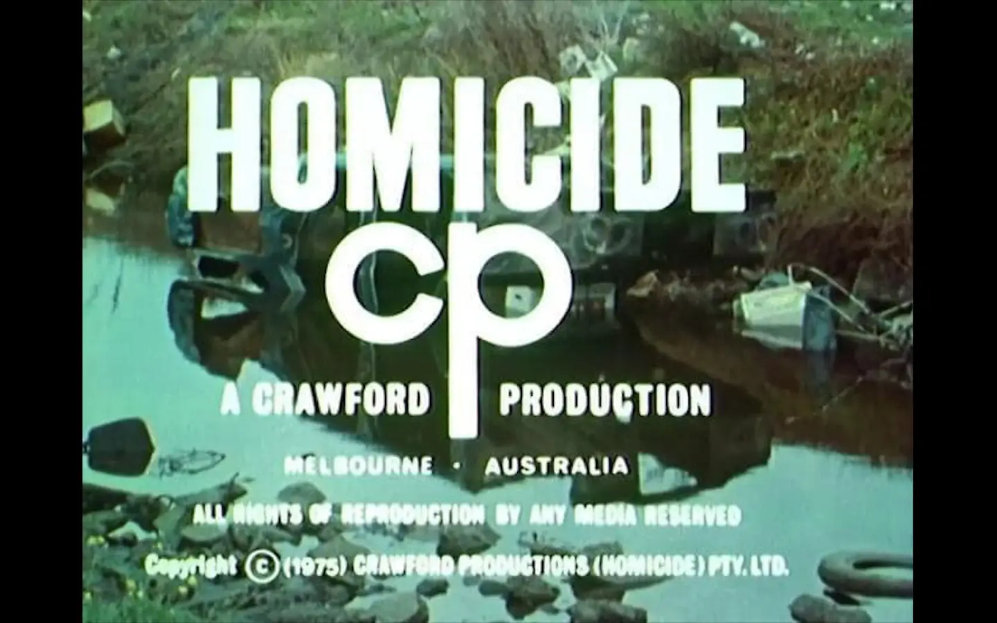 Homicide3
